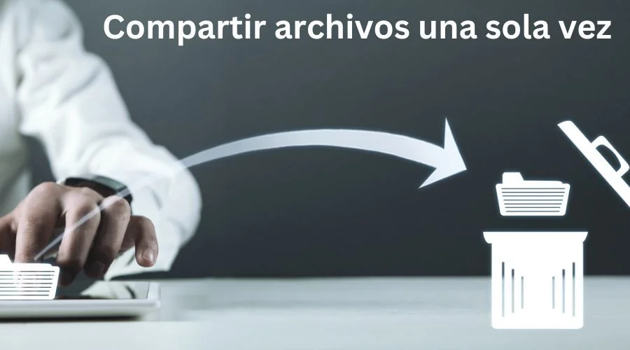 One Time ZIP File Share spanish Image
